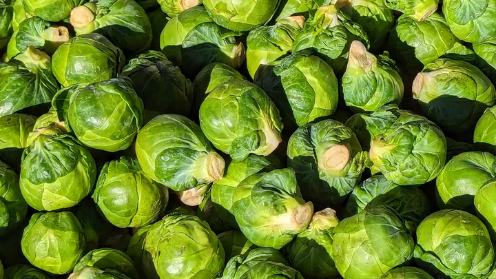 A heap of fresh Brussels sprouts filling the frame