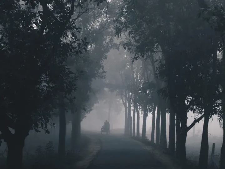 A tree-lined path disappearing into morning fog, with a cyclist faint in the distance