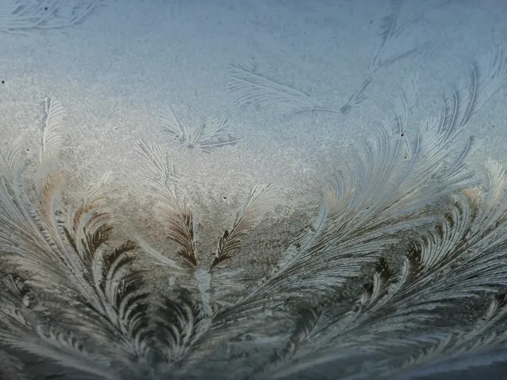 Fern-like frost patterns spreading across a chilly window pane