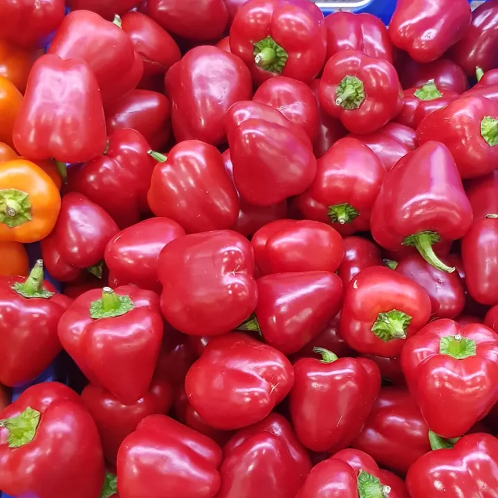 A pile of glossy red peppers with green stalks