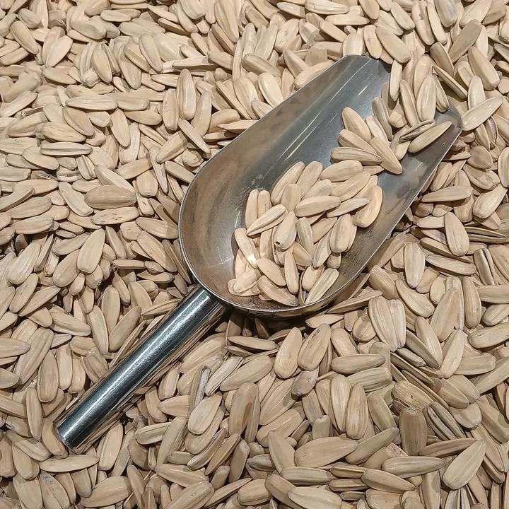 A metal scoop resting in a heap of sunflower seeds