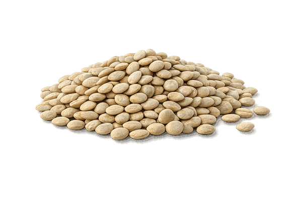 Chromium from lentils used in Immufix