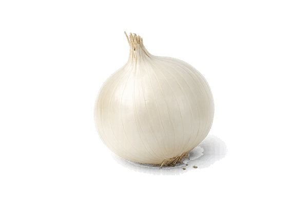 Fructooligosaccharides (FOS) from white onion used in Immufix