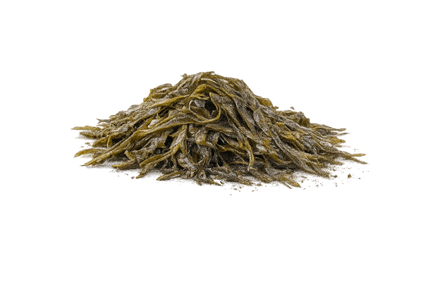 Iodine from seaweed used in Immufix