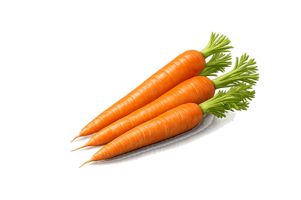 Vitamin A from carrots used in Immufix