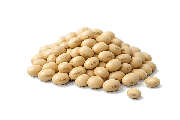 Vitamin B7 from soybeans used in Immufix