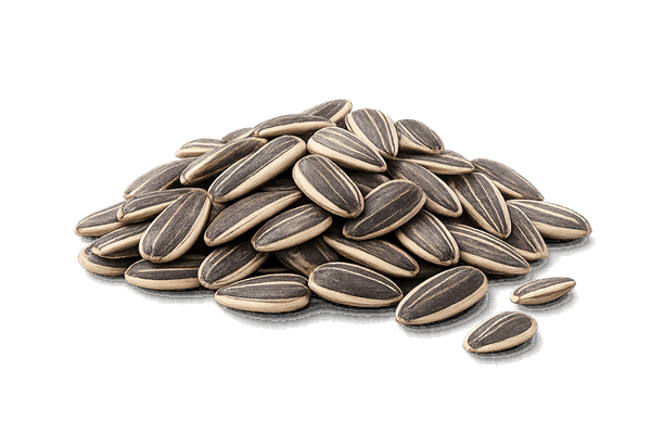 Vitamin E from sunflower seeds used in Immufix