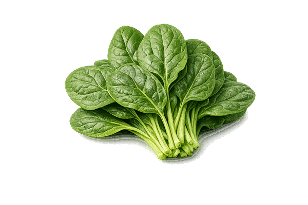 Vitamin K2 from spinach used in Immufix